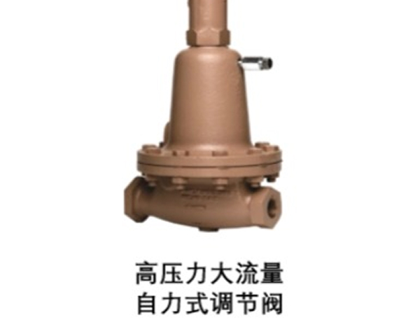 自力式调节阀